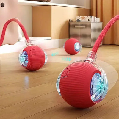 Cat Interactive Ball Toy