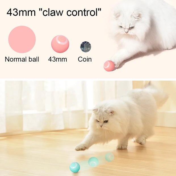 Interactive Cat Toys Ball
